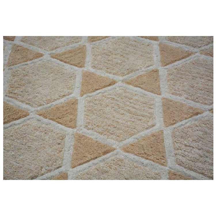 Arezoo Handtufted Rug