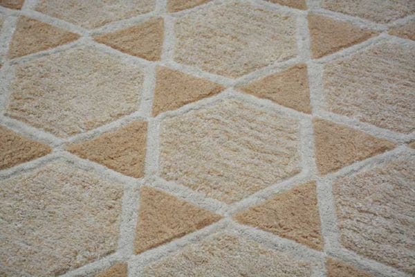 Arezoo Handtufted Rug